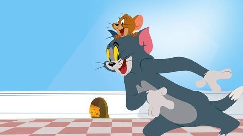 The Tom and Jerry Show filmas žiurėti online