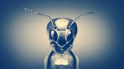 Cosmic Disclosure