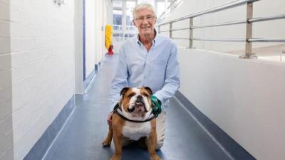 For the Love of Dogs