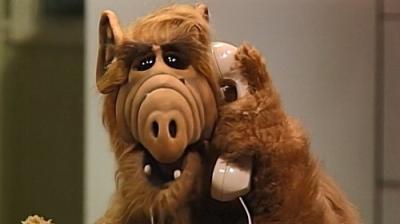 ALF