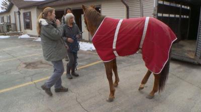 The Incredible Dr. Pol