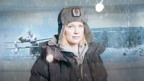Pohjoisen tähti filmas žiurėti online