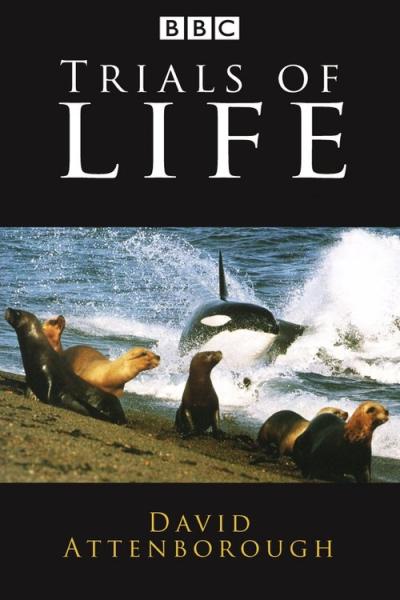 Trials of Life filmas online