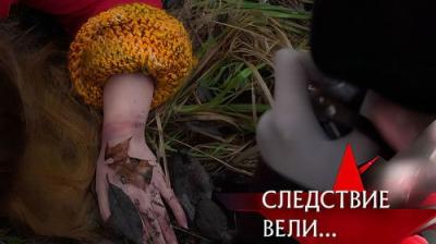 Следствие вели...