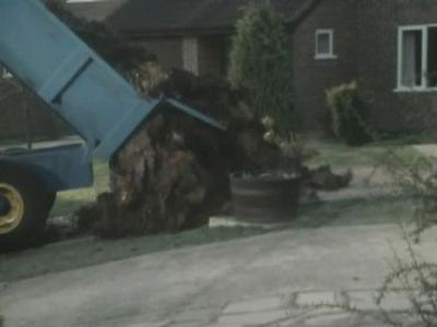 Ever Decreasing Circles