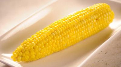 Martha Stewart's Cooking School