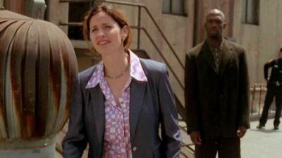 Judging Amy