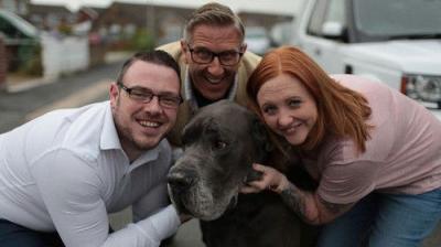 Dogs Behaving (Very) Badly