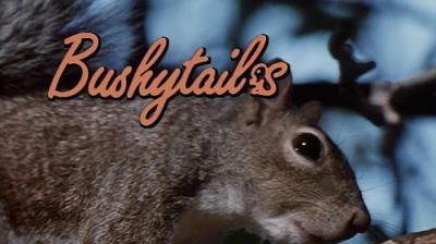 Marty Stouffer's Wild America