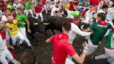 Vive San Fermín