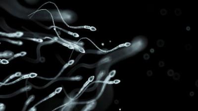 This Is Life with Lisa Ling