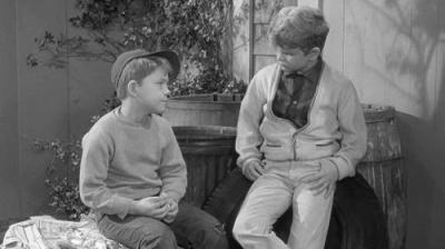 The Andy Griffith Show