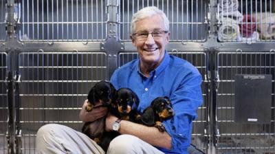 For the Love of Dogs