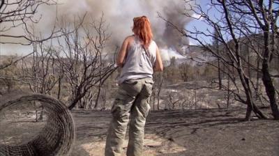 Pit Bulls and Parolees