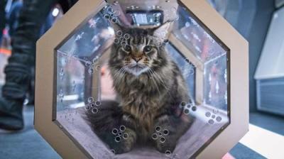 Žvaigždžių kelias: Atradimas