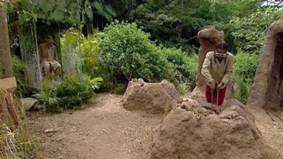 I'm a Celebrity...Get Me Out of Here!