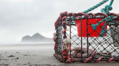 The Brokenwood Mysteries