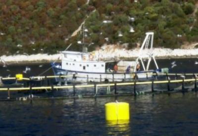 Anthony Bourdain: No Reservations