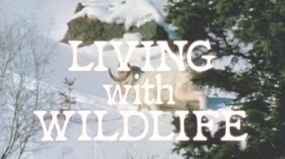 Marty Stouffer's Wild America
