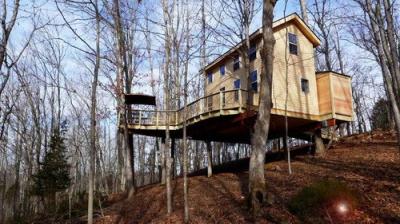 Treehouse Masters