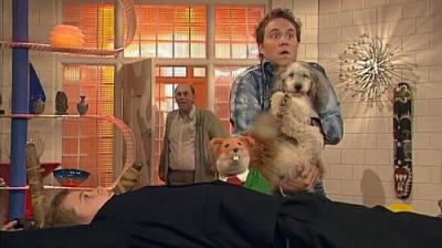 The Basil Brush Show