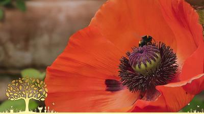 Gardeners' World