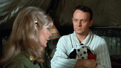 M*A*S*H