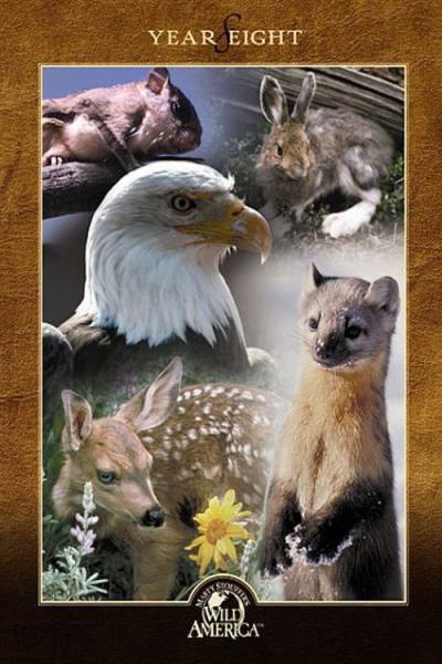 Marty Stouffer's Wild America filmas online