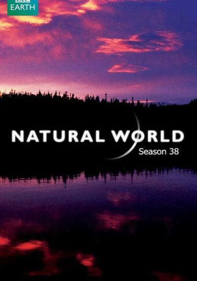 Natural World filmas online