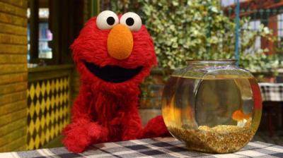 Sesame Street