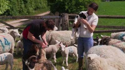 Fletchers' Family Farm