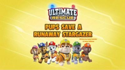 Šunyčiai patruliai