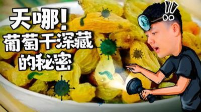 X Fun吃货俱乐部