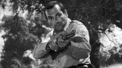 The Fugitive