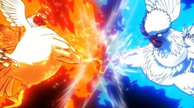 Rooster Fighter