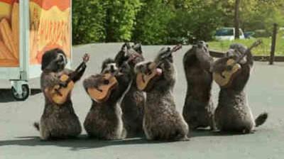 Les Marmottes