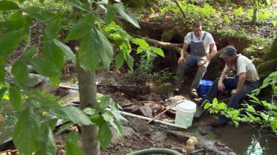 Moonshiners