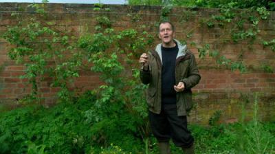 Gardeners' World