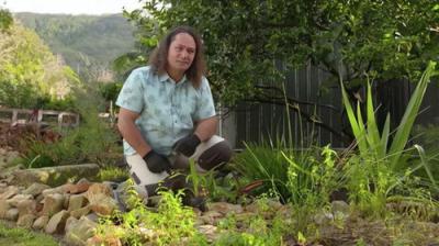 Gardening Australia