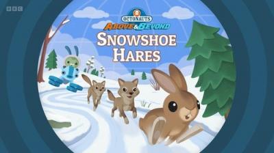 Octonauts: Above & Beyond