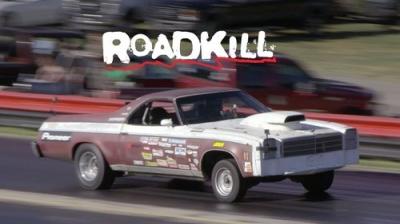 Roadkill