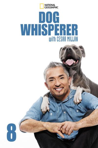 Dog Whisperer filmas online