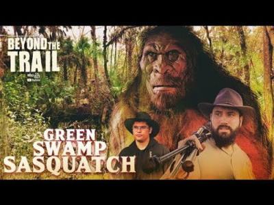 Bigfoot Beyond the Trail