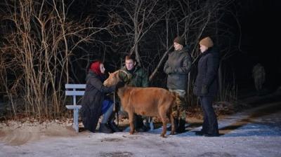 Жіночий лікар. Нове життя