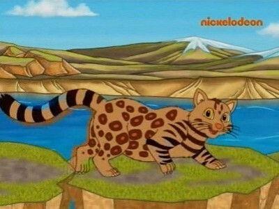 Go, Diego, Go!