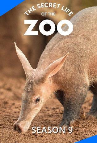 The Secret Life of the Zoo filmas online