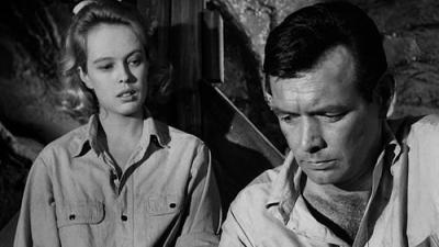 The Fugitive