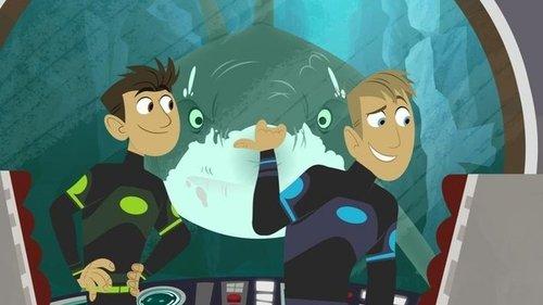 Wild Kratts filmas žiurėti online
