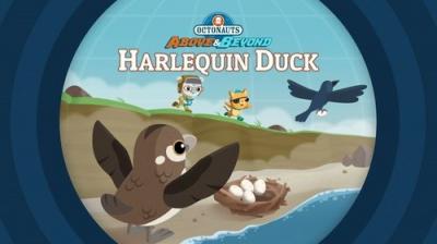 Octonauts: Above & Beyond