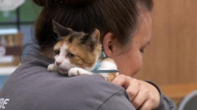 The Incredible Dr. Pol